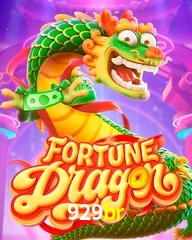 929BR.COM
