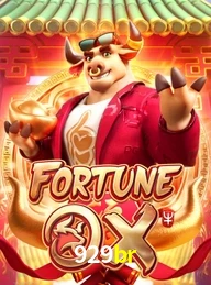 929BR.COM